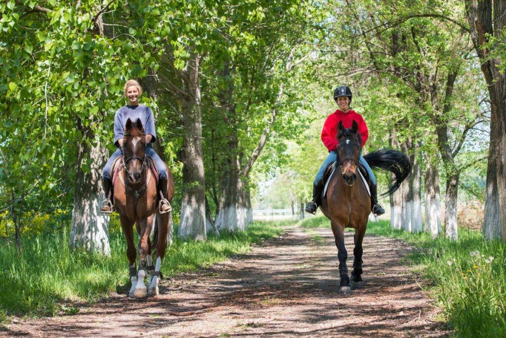 Pourquoi assurer un cheval ?