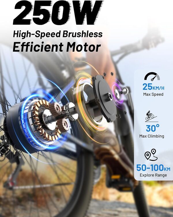 OneSportWay DUOTTS C29 Vélo Électrique, E-Bike Batterie Amovible 48V 15Ah et Moteur 250W, VTT électrique 21 Vitesses Professionnelles avec Écran LCD, Banlieue Électrique pour Hommes et Femmes