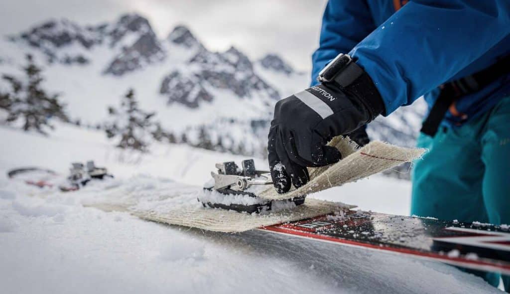 Comment choisir ses peaux de phoque ?