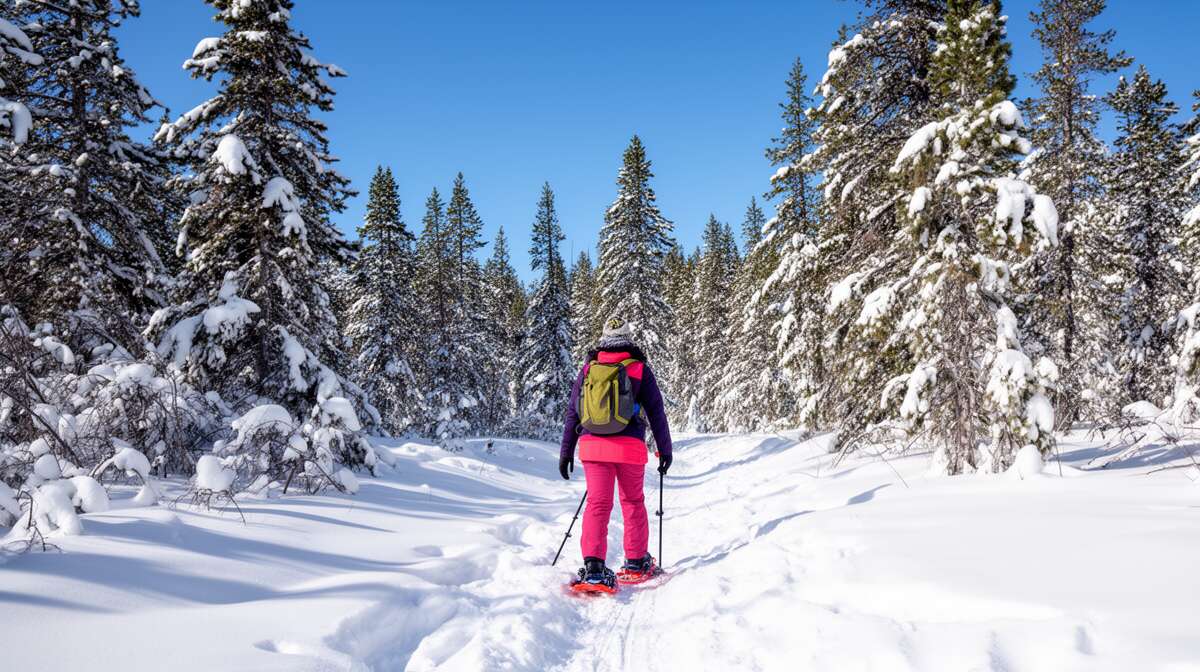 Les meilleurs itin&eacute;raires pour d&eacute;butants en raquettes