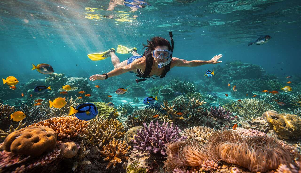 L'&eacute;quipement de base pour la plong&eacute;e en apn&eacute;e