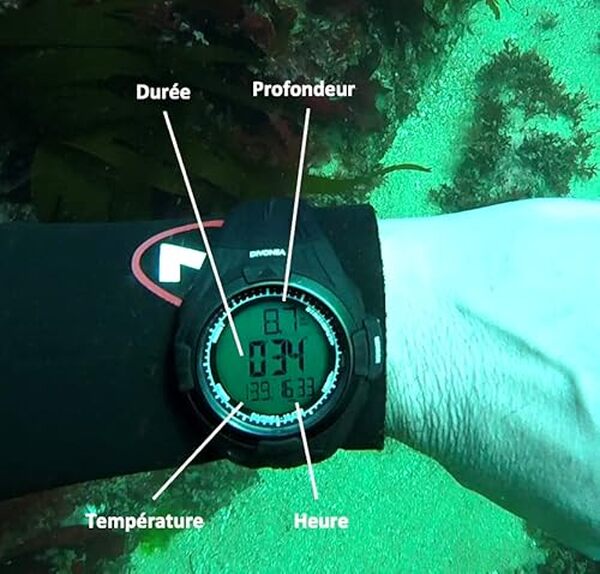 Découvrez notre test complet de la montre de plongée DiVONEA : fonctionnalités, performances et avis pour l'apnée et la chasse sous-marine. 